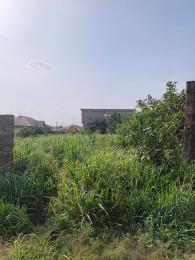 Residential Land For Sale Omotoro Off Ijede Road Ikorodu Ikorodu Lagos