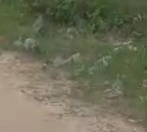 Mixed use Land For Sale Ajiwe Ajah Lagos