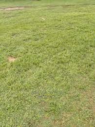 Land For Sale Lagos Extension Ogun