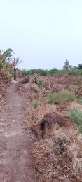 Residential Land For Sale Silver Point Estate, Badore Ajah Lagos