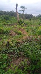 Commercial Land For Sale Sagamu Ogun