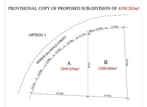 Land For Sale Bishop Oluwole Street Victoria Island Victoria Island Lagos