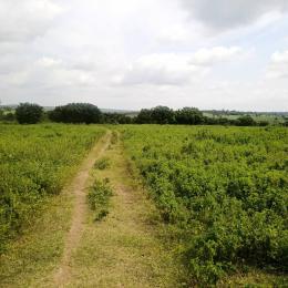 Mixed use Land For Sale Near Ijaye At Alabede Village Moniya Ibadan Oyo