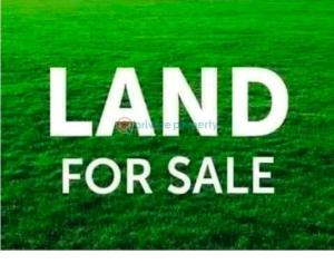 Land For Sale A Mini Estate At Aqua View Estate, Ogudu Ojota Lagos