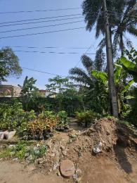 Mixed use Land For Sale Kudirat Abiola Way Oregun Ikeja Lagos Mixed use Land For Sale Kudirat Abiola Way Oregun Ikeja Lagos