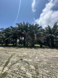 Residential Land For Sale Ikate Lekki Phase One Lekki Phase 1 Lagos