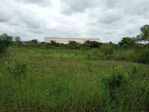Land For Sale Lagos Abeokuta Expressway, Ile Ise Awo. Adigbe Abeokuta Ogun Land For Sale Lagos Abeokuta Expressway, Ile Ise Awo. Adigbe Abeokuta Ogun