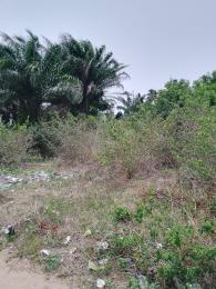 Mixed use Land For Sale Close To Dangote Refinery Free Trade Zone Ibeju-Lekki Lagos