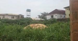 Mixed use Land For Sale Obehi Street (st Peters) Off 2nd Ugbor* Benin Edo