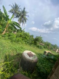 Land For Sale At Igbagbo Estate, Olorunda Abaa After Ojurin Akobo Ibadan Oyo
