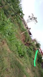 Land For Rent Pposite Lagos Business School Along Lekki Epe Express Way Lekki Lagos