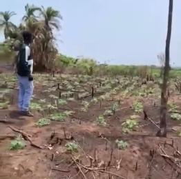 Land For Sale Okemeri Omu Ogun State After Epe Ogun Ogun area