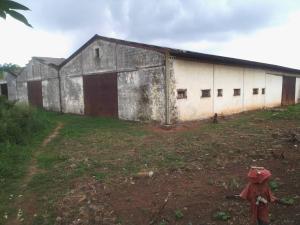 Warehouse For Sale Ota Industrial Estate Ado Odo/Ota Ogun Warehouse For Sale Ota Industrial Estate Ado Odo/Ota Ogun