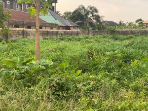 Residential Land For Sale Umuodu Mbieri By Spibat Rd, Owerri, Imo State. Owerri Imo Residential Land For Sale Umuodu Mbieri By Spibat Rd, Owerri, Imo State. Owerri Imo