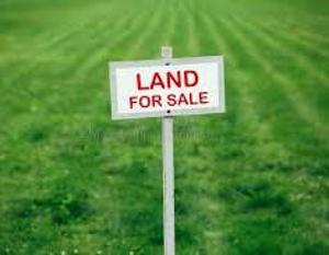 Land For Sale Sangotedo Ajah Lagos