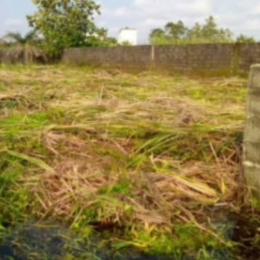 Commercial Land For Sale Arepo Lagos Extension Ogun