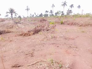 Residential Land For Sale Richpalm Estate Phase 1 Strategically Located Behind Novare Mall Monastery Road Sangotedo Lagos