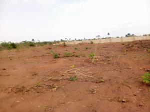 Mixed use Land For Sale Affordable 300sqm Land With Instant Allocation Ilara Epe Lagos