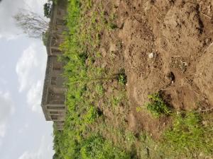 Residential Land For Sale @ The Front Of University Of Agriculture Funab. Abeokuta Ogun