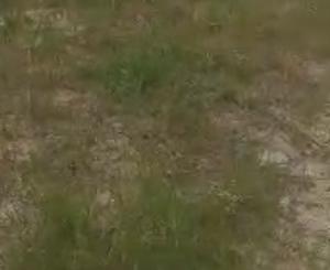 Land For Sale Victoria Island Lagos