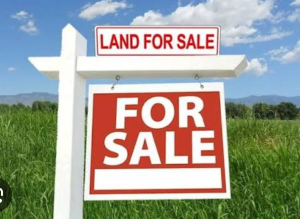 Residential Land For Sale Opebi Ikeja Lagos