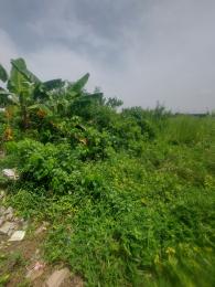 Land For Sale Fadunsi Oke Ira Ogba Oke-ira Ogba Lagos