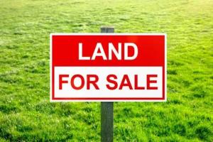 Land For Sale Asokoro Main Asokoro Abuja Phase 1 