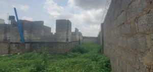 Residential Land For Sale Asokoro Main Asokoro Abuja Phase 1 