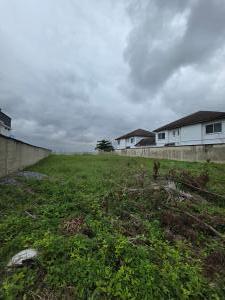 Residential Land For Sale Victoria Garden City Lekki Lagos