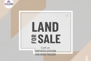 Land For Sale Kudirat Abiola Way Oregun Ikeja Lagos
