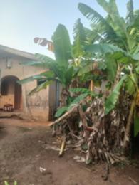 4 bedroom Detached Bungalow For Sale Ayobo Ipaja Lagos