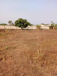 Residential Land For Sale Ijajo Estate Off Ijede Road Ikorodu Lagos Residential Land For Sale Ijajo Estate Off Ijede Road Ikorodu Lagos