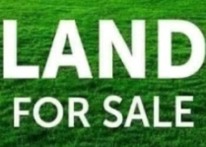 Mixed use Land For Sale Unity Estate Badore Ajah Lagos