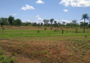 Mixed use Land For Sale Hilltop, Tafyil District, Cadastral Apo Abuja Phase 2 