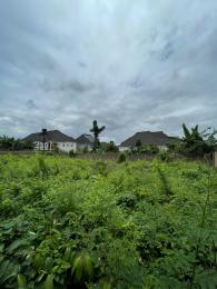 Land For Sale Behind Nipco Gas, Oke’badan Estate, Akala Way, Akobo, Ibadan Ibadan Oyo