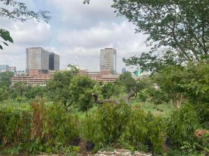 Commercial Land For Sale Central Area Abuja Phase 1 