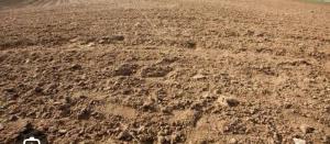 Land For Sale Boudillon Road, Old Ikoyi Ikoyi Lagos