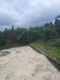 Residential Land For Sale Fara Park Estate Lekki Lagos Crown Estate Ajah Lagos