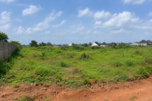 Land For Sale Llk Estate, Ile Tuntun Ibadan Ibadan Oyo