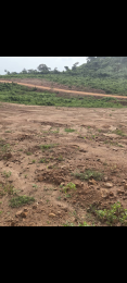 Commercial Land For Sale Osengere, New Ife Road, Ibadan Ibadan Oyo