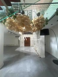 5 bedroom Semi detached Duplex For Rent Ikoyi Lagos