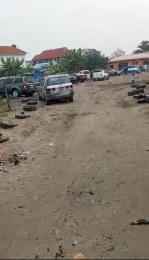 Land For Sale Opposite Mayfair Garden Estate 6 Plots Away From The Lekki Epe Express Way Ibeju-Lekki Lagos