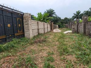 Residential Land For Sale Obokwu Community Layout Avu Owerri Imo