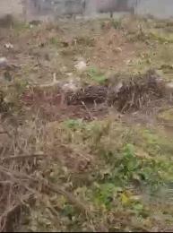 Land For Sale Millennium Estate, Gbagada Lagos Land For Sale Millennium Estate, Gbagada Lagos