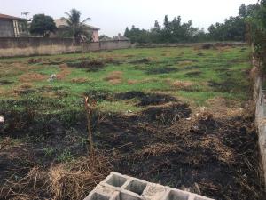 Mixed use Land For Sale River View Estate Isheri North Ojodu Lagos