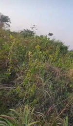 Commercial Land For Rent Epe Lagos