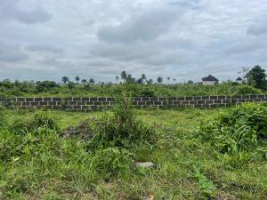 Mixed use Land For Sale Along Obiri Ikwerre Road Port Harcourt Rivers