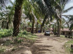 Commercial Land For Sale Ogbere Road, Off Sagamu Ore Benin Expressway Ijebu East Ogun