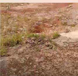 Land For Sale Oke-ira Ogba Lagos