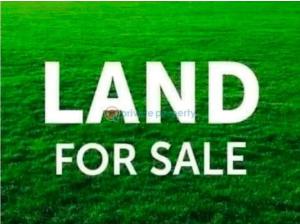 Land For Sale Pinnock Beach Estate Osapa Lekki Lagos